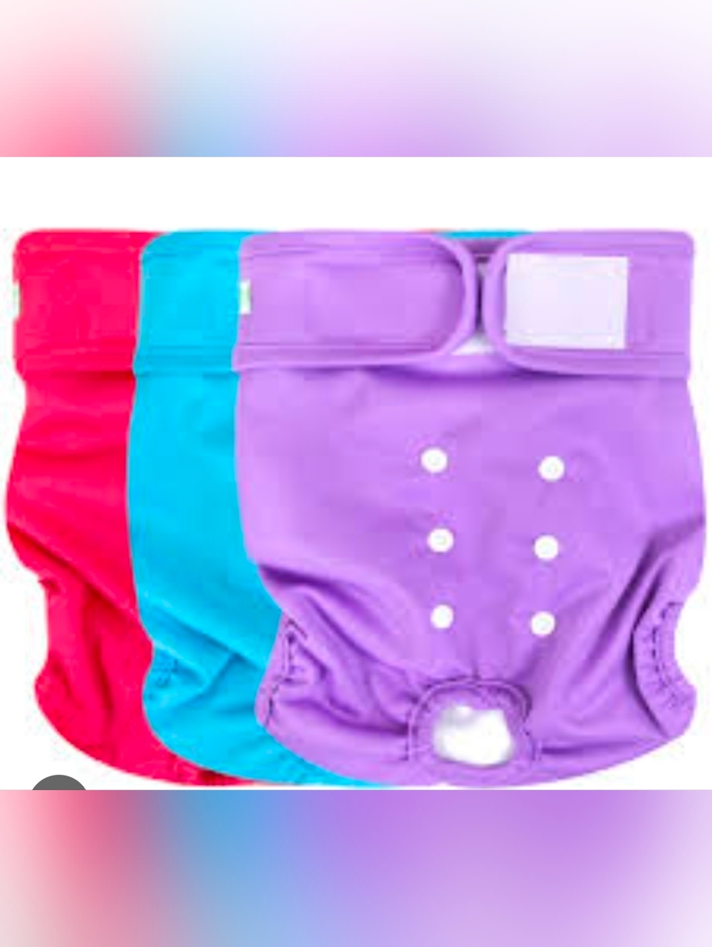 Female Dog Diapers, 3-Pack, Multicolor Size M